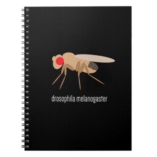 Drosophila Lab-laptop Notitieboek (Voorkant)