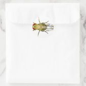 Drosophila melanogaster ronde sticker (Tas)