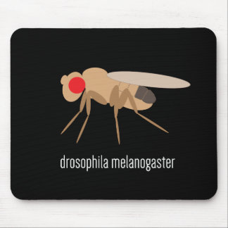 Drosophila Mousepad Muismat