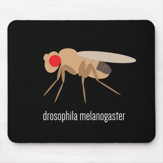 Drosophila Mousepad Muismat (Voorkant)