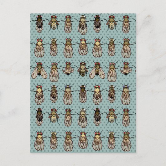 Drosophila mutanten briefkaart (Voorkant)