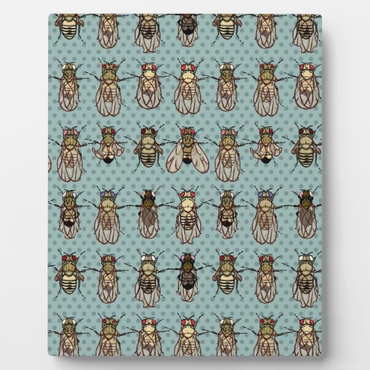 Drosophila mutanten fotoplaat (Voorkant)