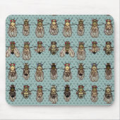 Drosophila mutanten muismat (Voorkant)