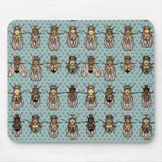 Drosophila mutanten muismat (Voorkant)