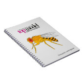 Drosophila notitieboek (Rechterzijde)