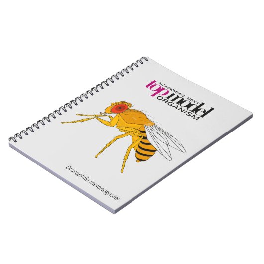 Drosophila notitieboek (Linkerzijde)