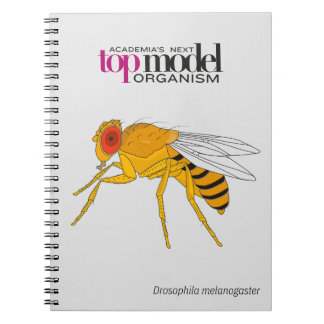 Drosophila notitieboek