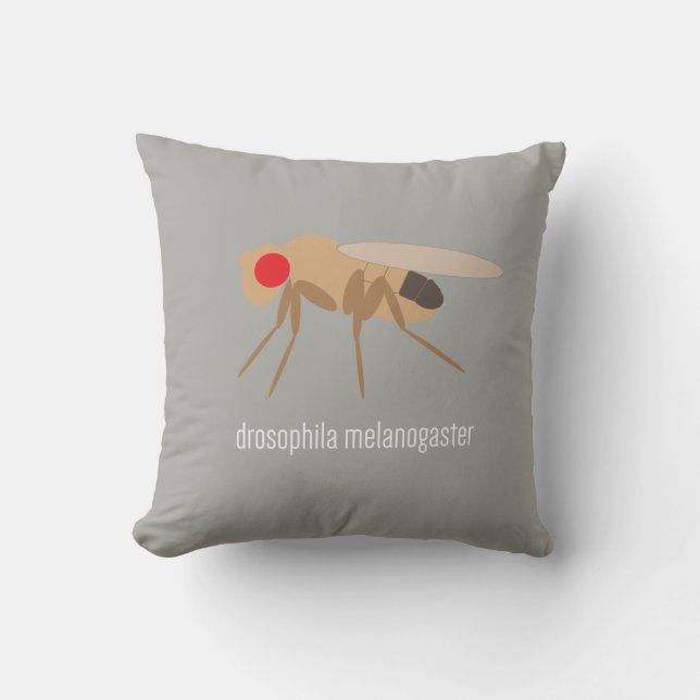 Drosophila Pillow Kussen (Voorkant)