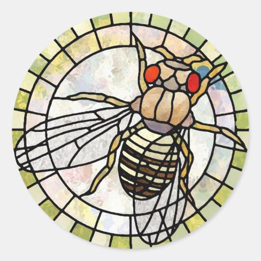 Drosophila Ronde Sticker (Voorkant)