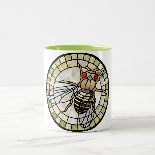 Drosophila Tweekleurige Koffiemok (Center)