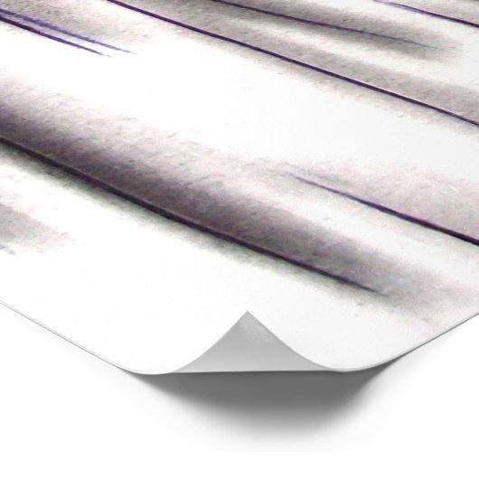 Drosselmeyer uit de Nutkraker Ballet Poster (Hoek)