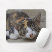 Drowsing Calico Kitten Muismat (Met muis)
