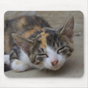 Drowsing Calico Kitten Muismat