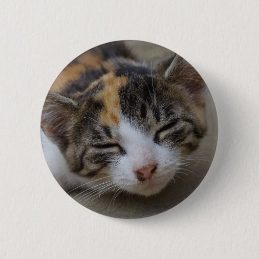 Drowsing Calico Kitten Ronde Button 5,7 Cm (Voorkant)