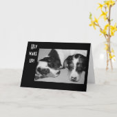 DROWSY DACHSHUNDS 40e BIRTHDAY Kaart (Gele Bloem)