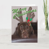 Drowsy kersthond die Glitter Antlers verdient Feestdagen Kaart (Voorkant)