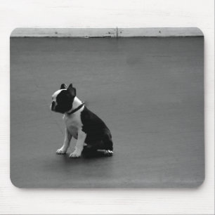 DRU puppy boston-doodsbange Muismat