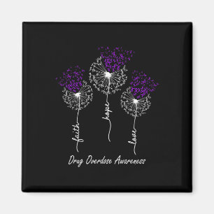 Drug Overdosis Bewustzijn Geloof Hoop Liefde Paard Magneet