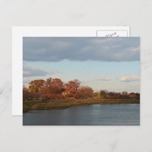 Druid Hill Park Briefkaart (Voorkant / Achterkant)