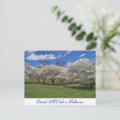 Druid Hill Park in de lente Briefkaart (Staand voorkant)
