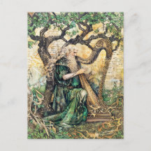 Druid Keltische wijze priester van de natuur