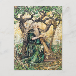 Druid Keltische wijze priester van de natuur Briefkaart