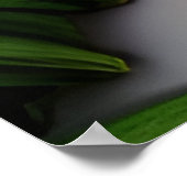 Druid Natuur Goddess Woman fantasy art Poster (Hoek)