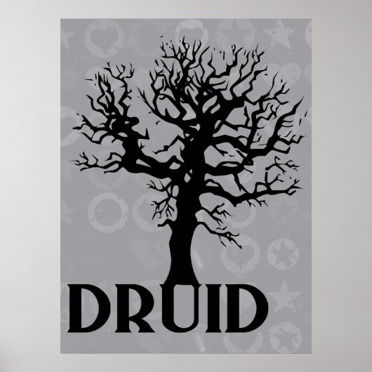 Druid Poster (Voorkant)