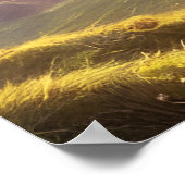 Druid Warrior Princess Fantasy Art Poster (Hoek)