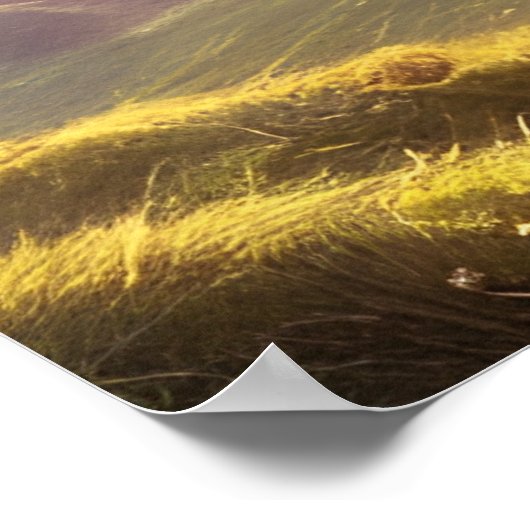 Druid Warrior Princess Fantasy Art Poster (Hoek)