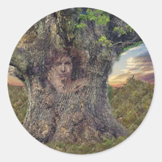 Druïde in bomen ronde sticker