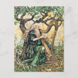 Druïde Keltische wijze priester van Natuur Briefkaart