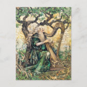Druïde Keltische wijze priester van Natuur Briefkaart (Voorkant)