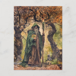 Druïde Keltische wijze priester van Natuur Briefkaart