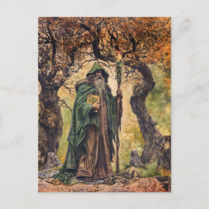 Druïde Keltische wijze priester van Natuur Briefkaart