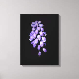 Druif Hyacint Bloem Leinwand Afdruk Canvas Afdruk