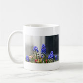 druifhyacint koffiemok (Links)