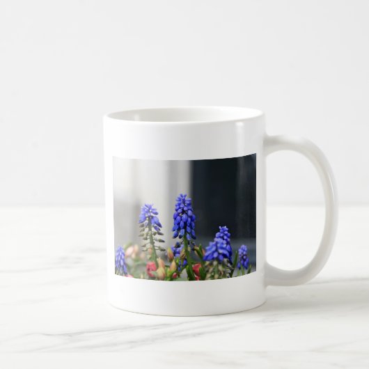 druifhyacint koffiemok (Rechts)