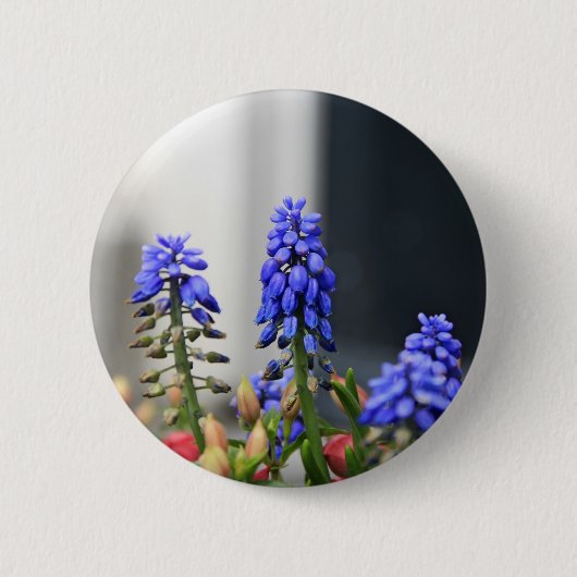 druifhyacint ronde button 5,7 cm (Voorkant)
