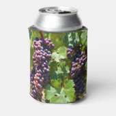 druiven blikjeskoeler (Blikje Achterkant)