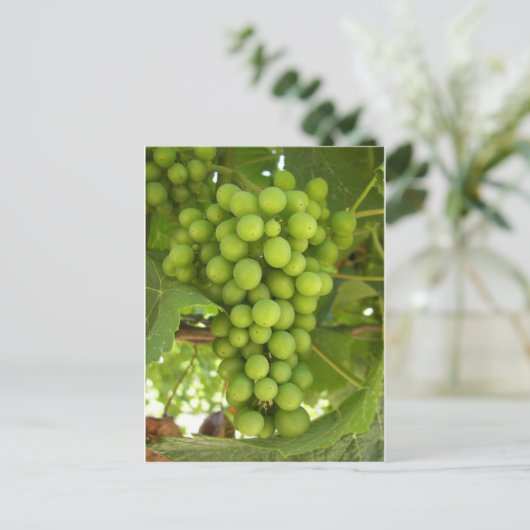 druiven briefkaart (Staand voorkant)