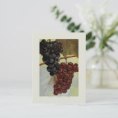 druiven briefkaart (Staand voorkant)