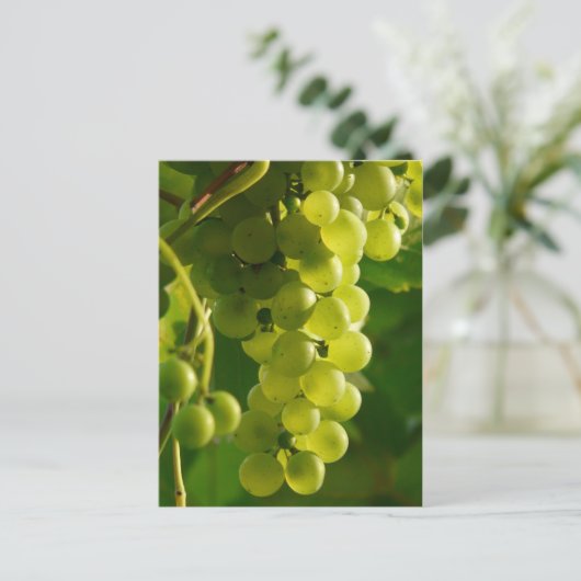 druiven briefkaart (Staand voorkant)