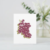 druiven briefkaart (Staand voorkant)