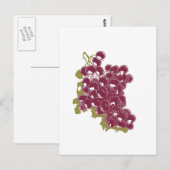 druiven briefkaart (Voorkant / Achterkant)