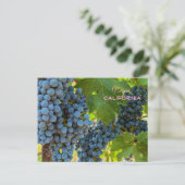 Druiven Briefkaart (Staand voorkant)