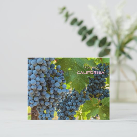 Druiven Briefkaart (Staand voorkant)