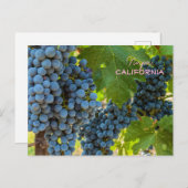 Druiven Briefkaart (Voorkant / Achterkant)