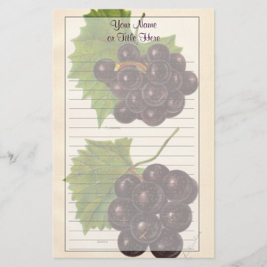 druiven briefpapier (Voorkant)