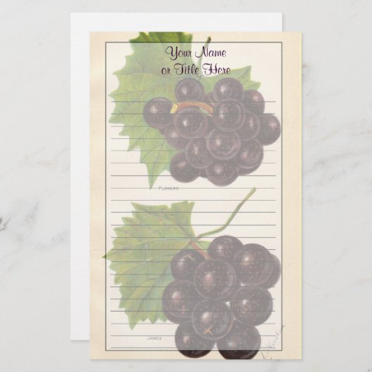 druiven briefpapier (Voorkant / Achterkant)